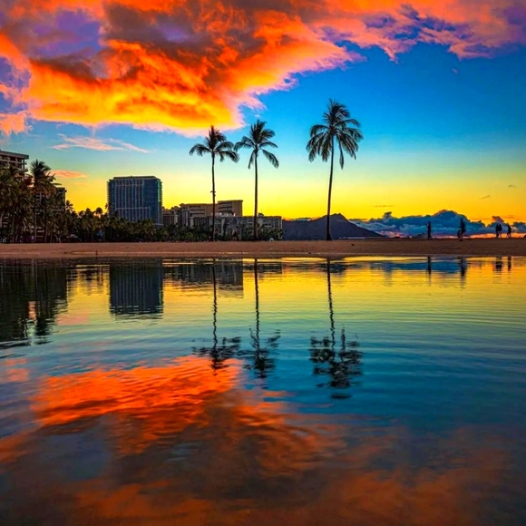 Meet your Posher, Victoria - Picture 1 of 1